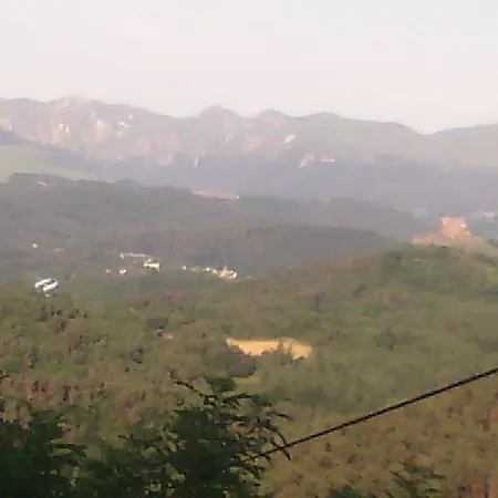 Petit De Montagne